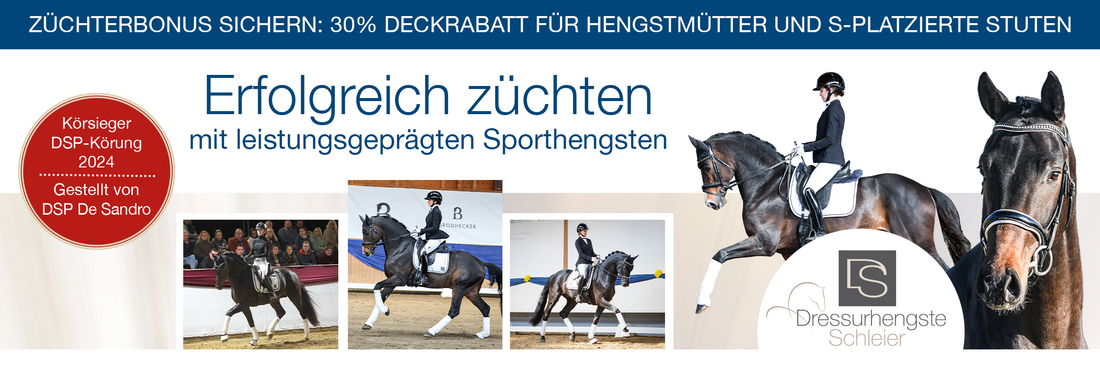 Stallgefluester - Das Magazin rund um Pferde und Reiten Kleinanzeigen und News zum Thema Reitsport, Freizeitreiten und Pferde