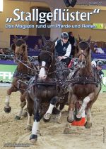 Stallgefluester - Das Magazin rund um Pferde und Reiten Kleinanzeigen und News zum Thema Reitsport, Freizeitreiten und Pferde