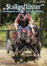 Stallgefluester - Das Magazin rund um Pferde und Reiten Kleinanzeigen und News zum Thema Reitsport, Freizeitreiten und Pferde