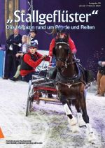 Stallgefluester - Das Magazin rund um Pferde und Reiten Kleinanzeigen und News zum Thema Reitsport, Freizeitreiten und Pferde